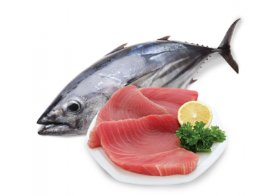 Cá ngừ nhập khẩu