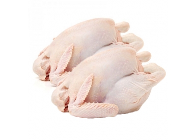 GÀ ĐÔNG LẠNH NGUYÊN CON