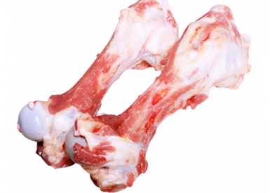 Xương ống sau mika