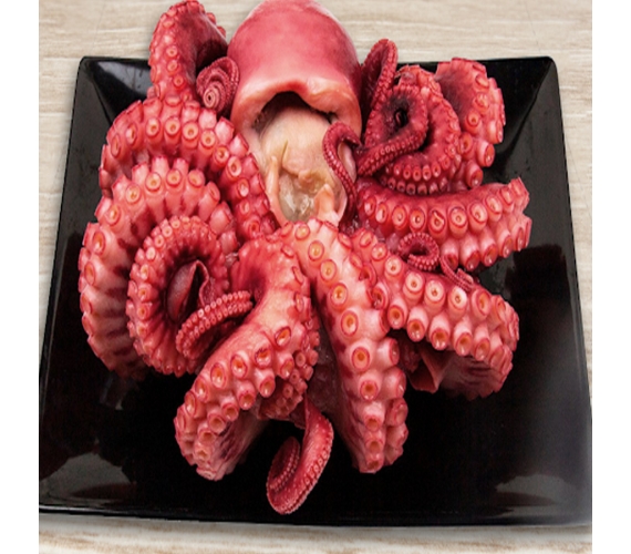 Bạch tuộc Sashimi đông lạnh